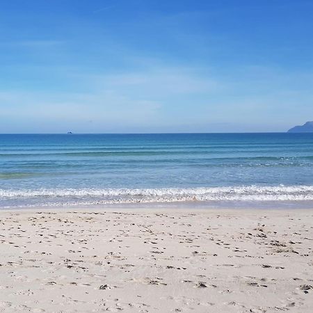 Ideal Property Mallorca - Cittadini 37 Alcúdia Eksteriør bilde